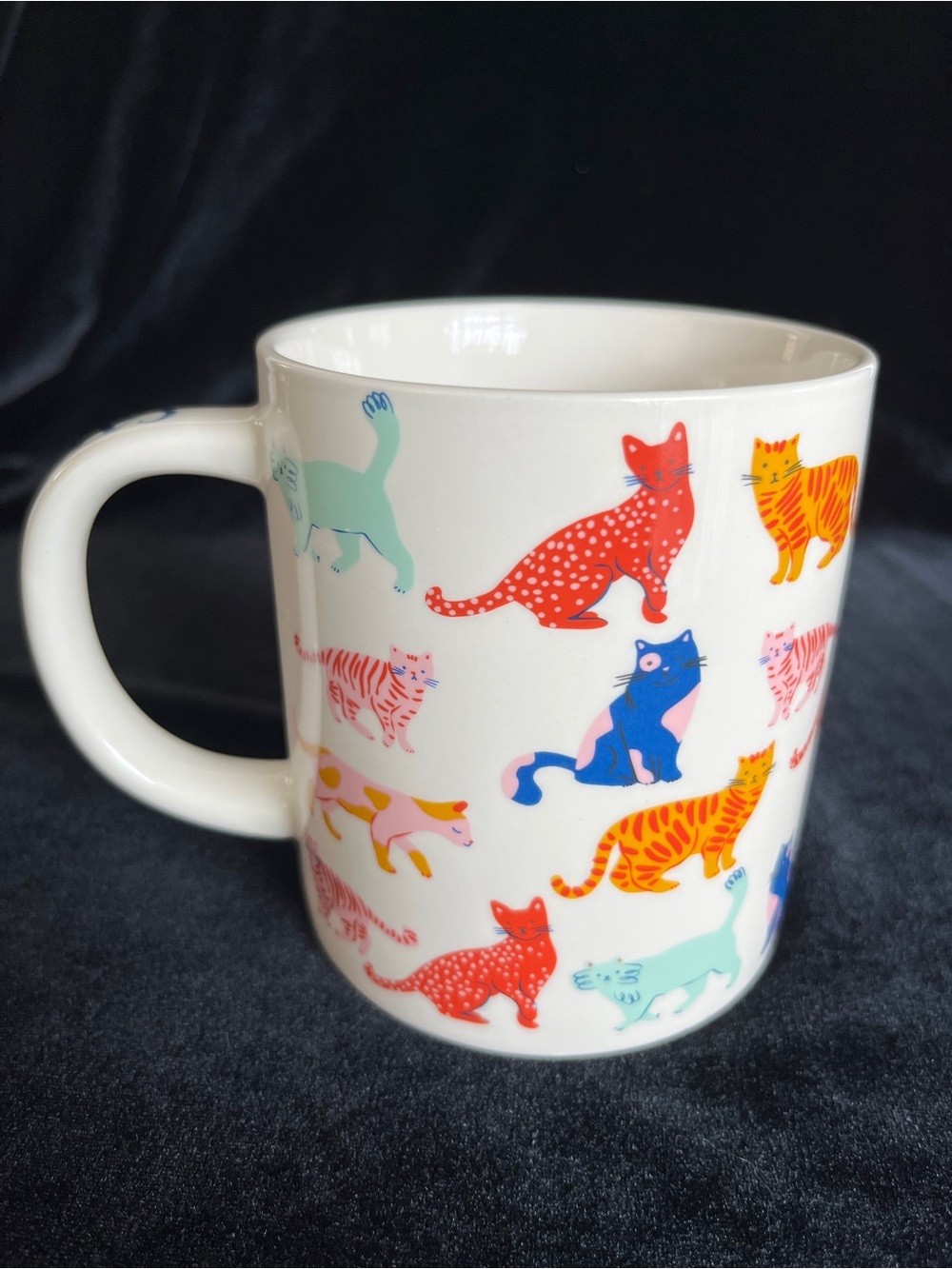 Parker Lane CAT PERSON Mug